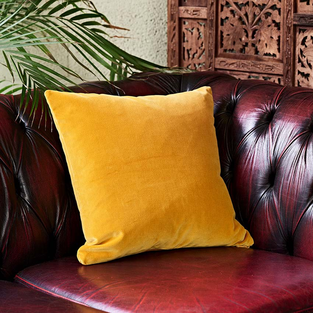 Mustard Velvet Scatter Cushion