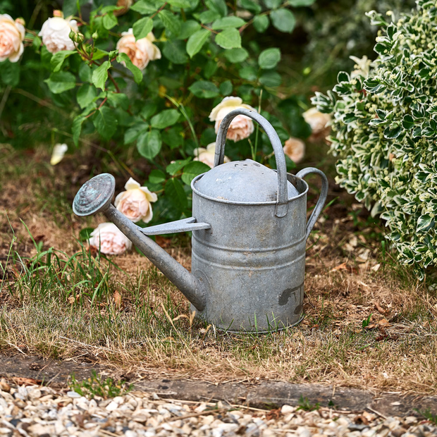Galvanised Watering Can (tall)