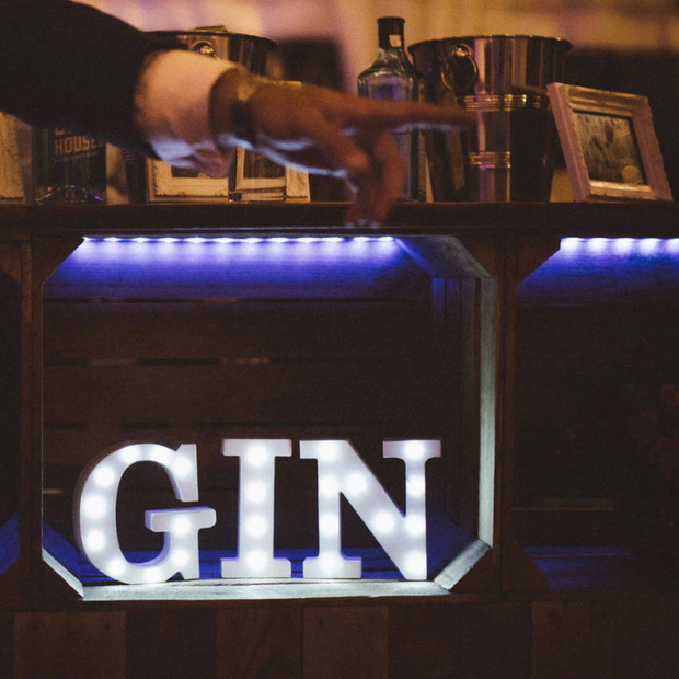 Mini Gin Bar Light