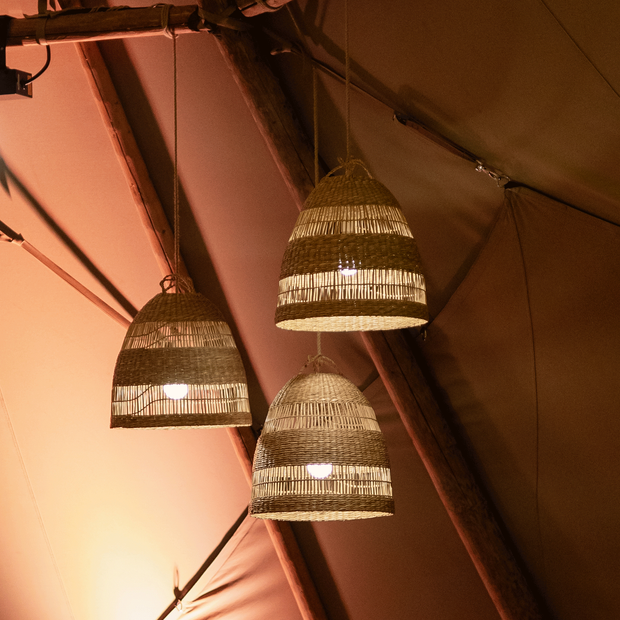 Edison Hanging Light (individual)