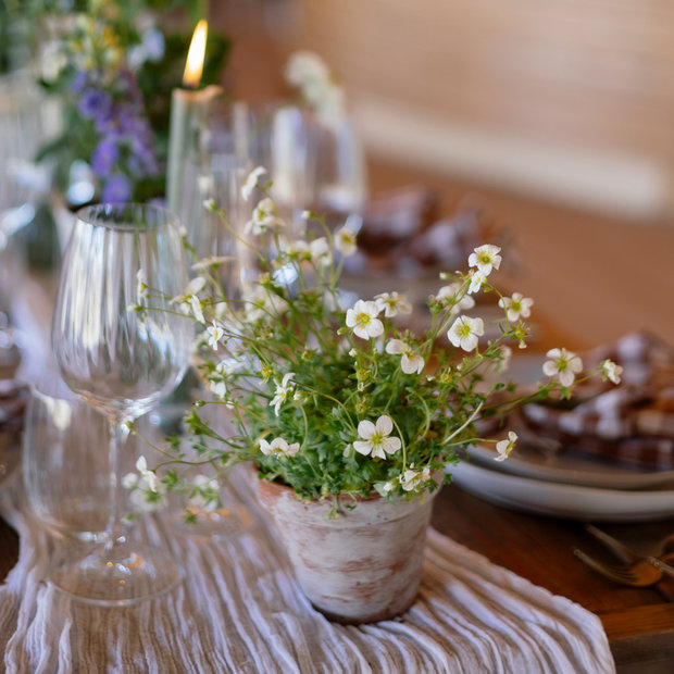 White Washed Terracotta Pots