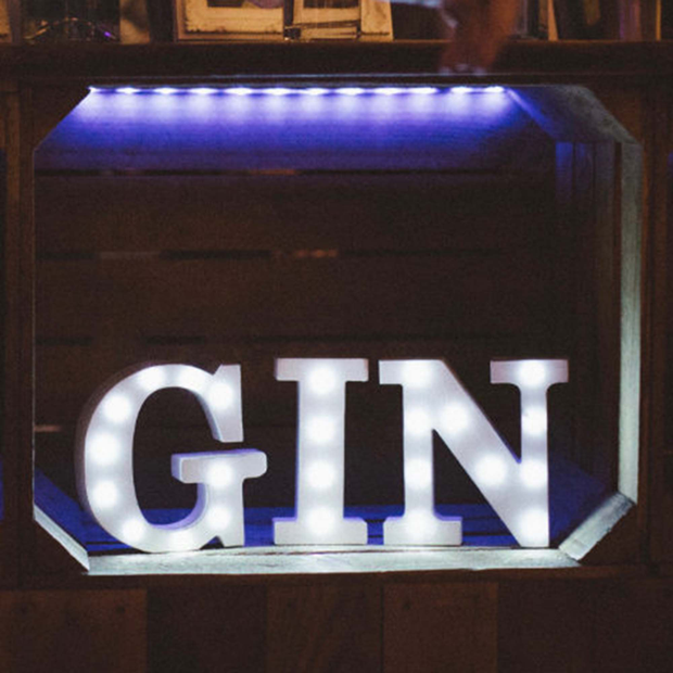 Mini Gin Bar Light