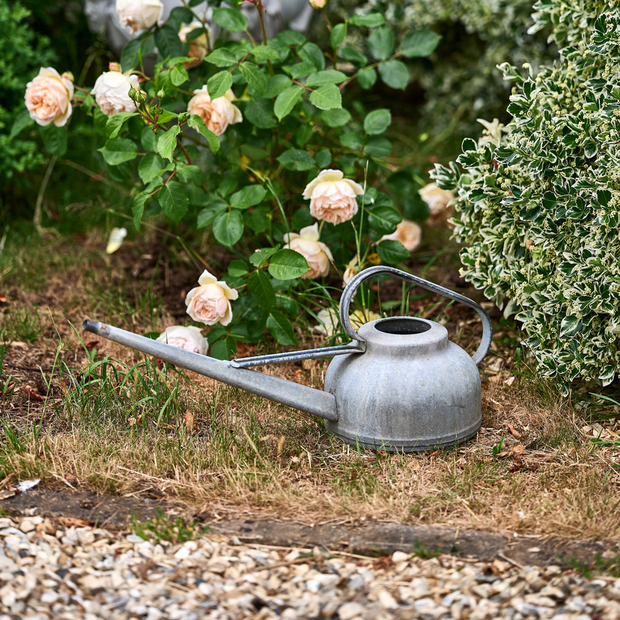 Galvanised Watering Can (short)