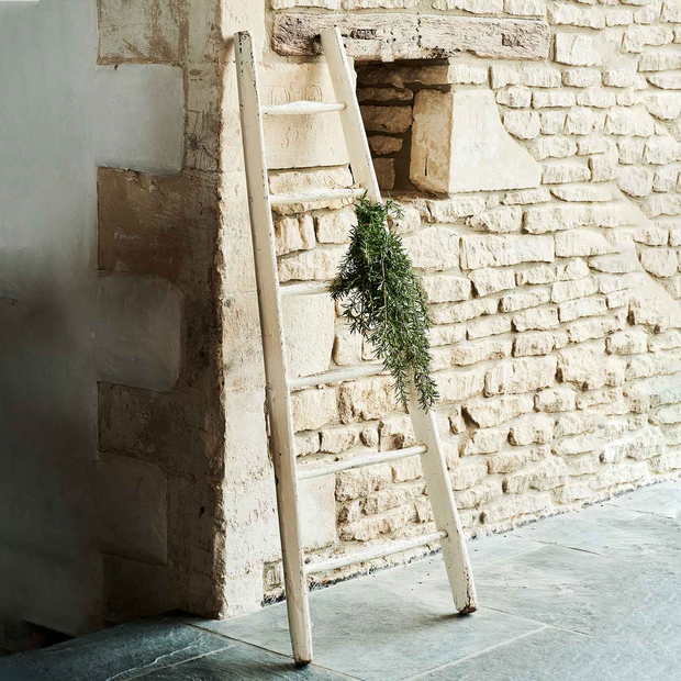 Distressed Display Ladder