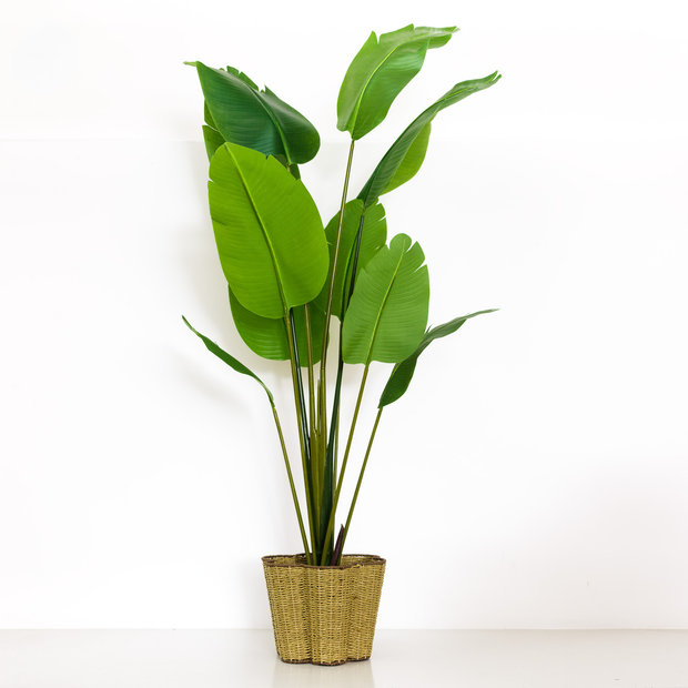 Faux Bird of Paradise Plant
