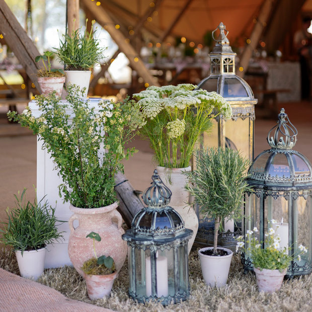White Washed Terracotta Pots