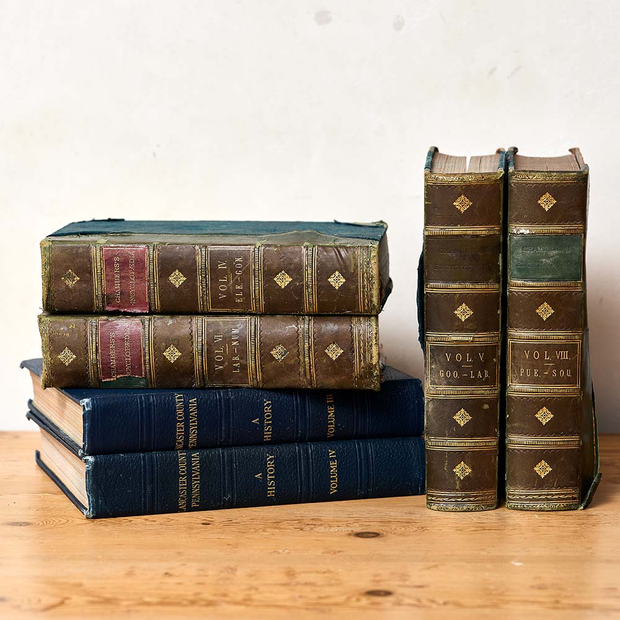 Vintage Books (set of 6)