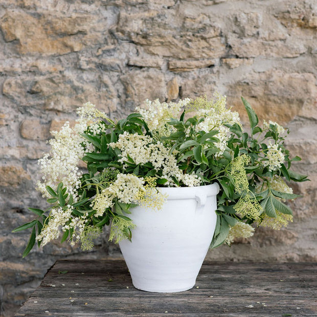 Small White Flower Pot