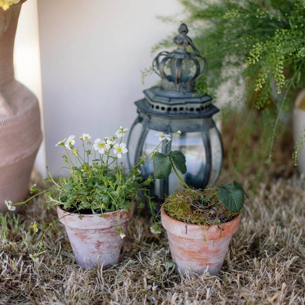 White Washed Terracotta Pots