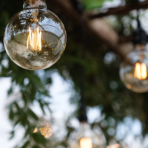 Hanging Ladder with Edison Lights