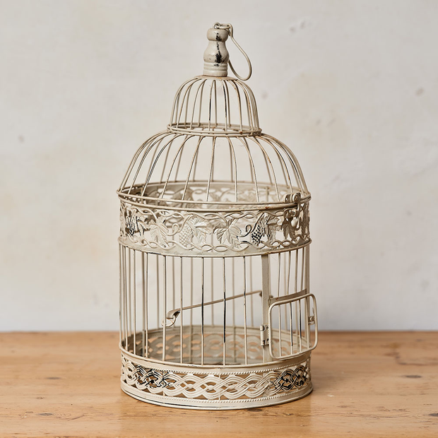 Birdcage (medium)