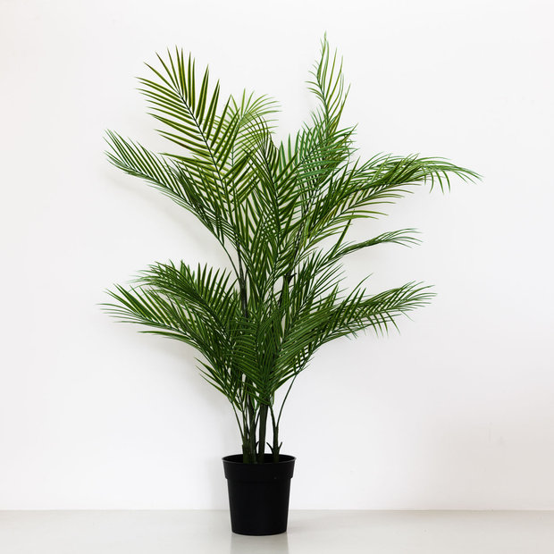 Faux Areca Palm