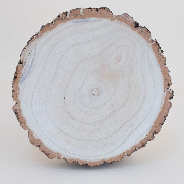Wooden Slices