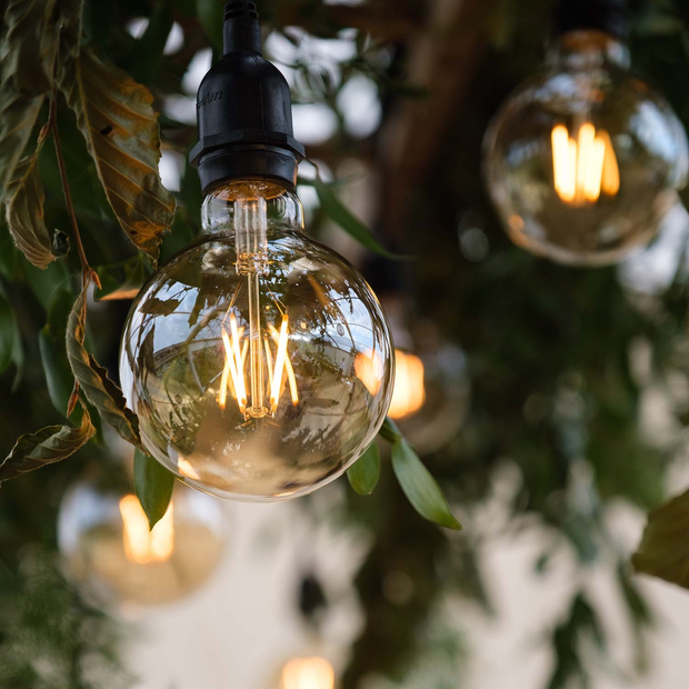 Hanging Edison Lights