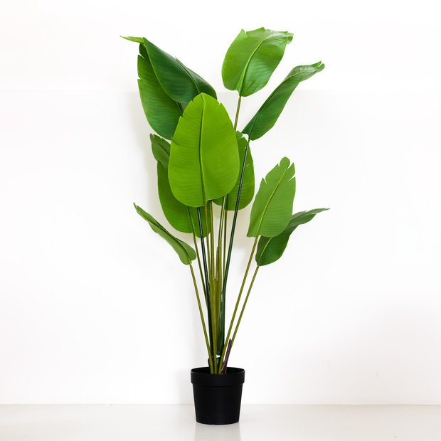 Faux Bird of Paradise Plant