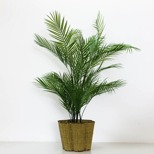 Faux Areca Palm