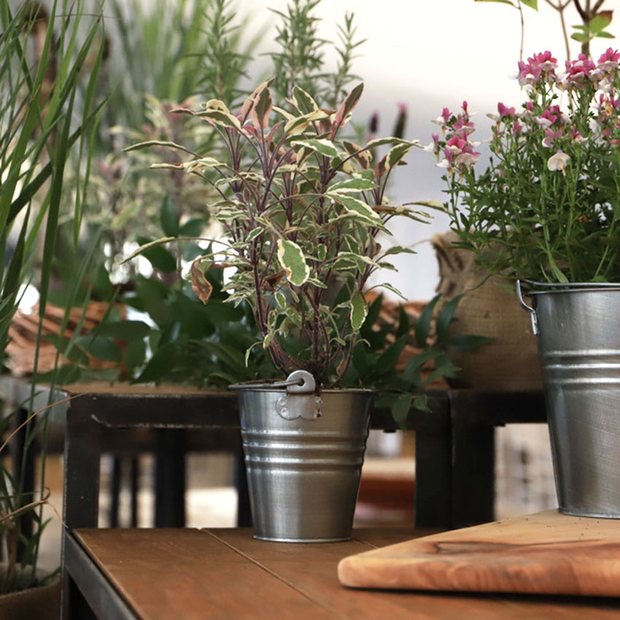 Galvanised Buckets (small)