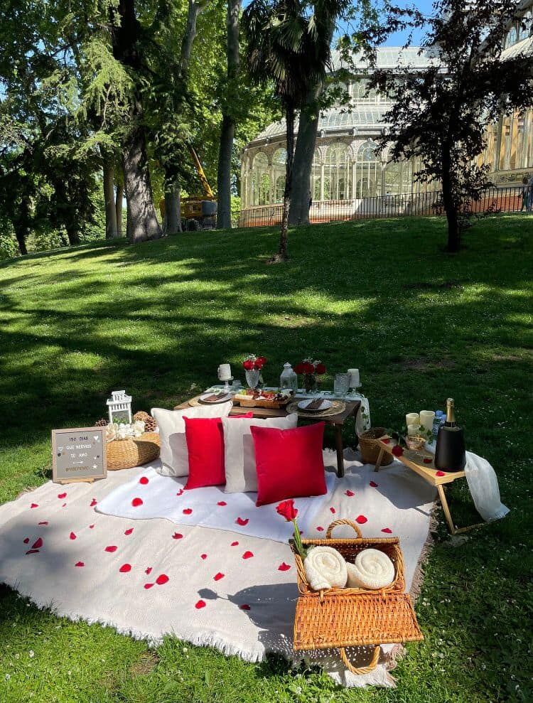 Luxury picnic in Madrid -5