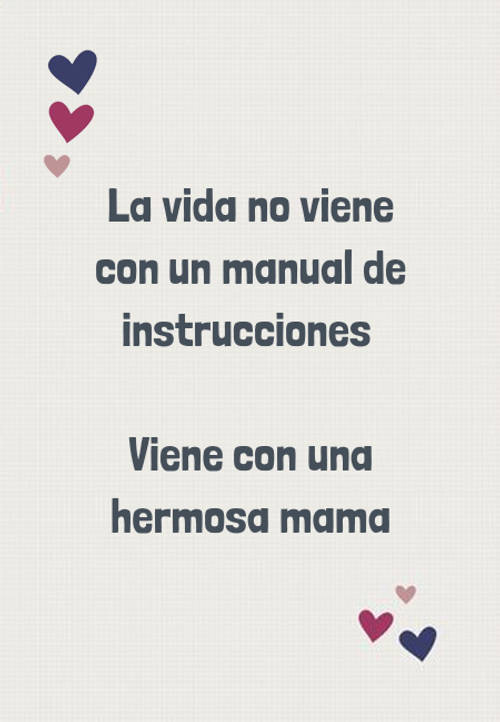Frases para el Día de la Madre - La vida no viene con un manual de instrucciones   Viene con una hermosa mama