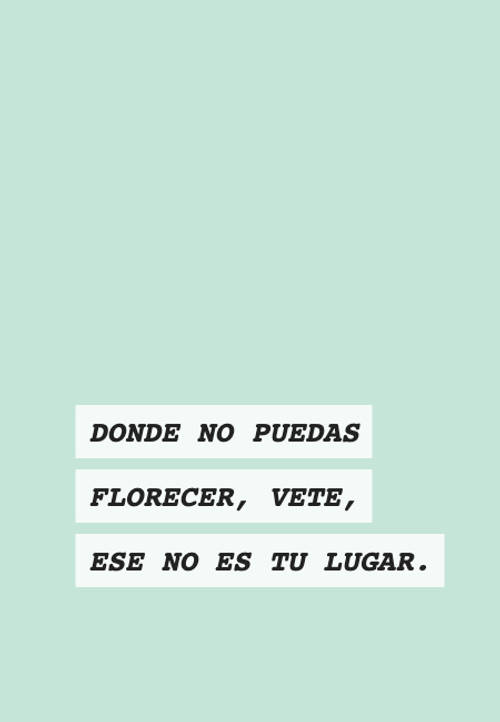 Donde no puedas florecer, vete, ese no es tu lugar.