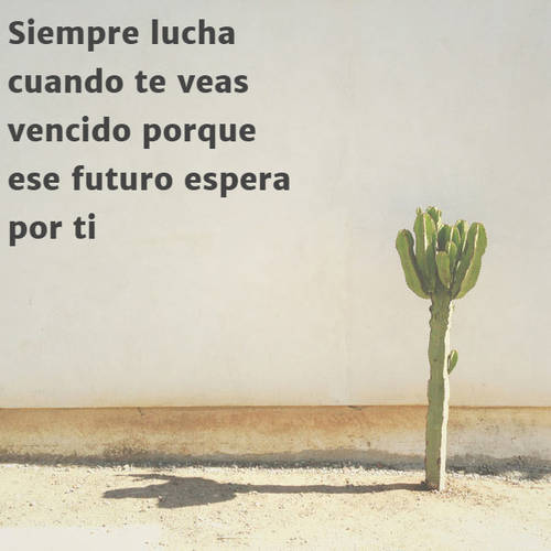 Frases de Motivacion - Siempre lucha cuando te veas vencido porque ese futuro espera por ti