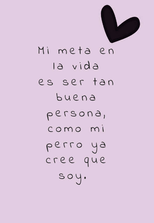 Frases de Animales - Mi meta en la vida es ser tan buena persona, como mi perro ya cree que soy.