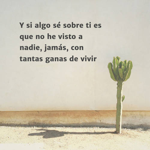 Frases de la Vida - Y si algo sé sobre ti es que no he visto a nadie, jamás, con tantas ganas de vivir