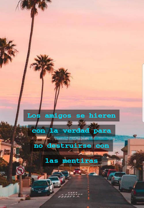 Frases sobre Pensamientos - Los amigos se hieren con la verdad para no destruirse con las mentiras