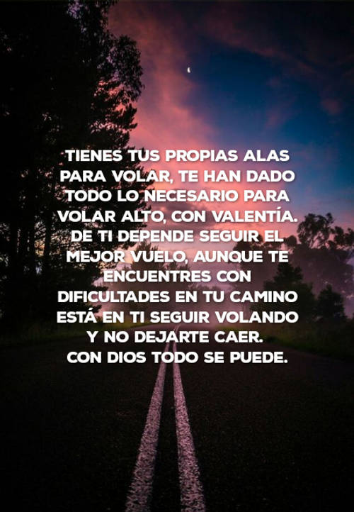 Frases para Reflexionar - Tienes tus propias alas para volar, te han dado todo lo necesario para volar alto, con valentía. De ti depende seguir el mejor vuelo, aunque te encuentres con dificultades en tu camino está en ti seguir volando  y no dejarte caer.   Con Dios todo se puede.