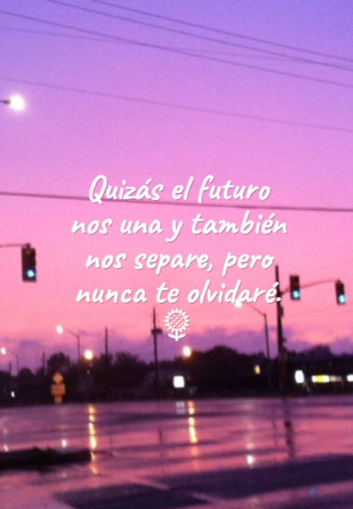 Crea Tu Frase – Frase #75481: Quizás el futuro nos una y también nos  separe, pero nunca te olvidaré. ?