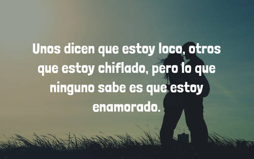 Frases de Amor - Unos dicen que estoy loco, otros que estoy chiflado, pero lo que ninguno sabe es que estoy enamorado.