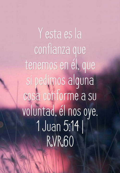 Frases sobre Religión - Y esta es la confianza que tenemos en él, que si pedimos alguna cosa conforme a su voluntad, él nos oye. 1 Juan 5:14 | RVR60
