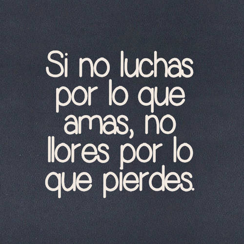 Frases para Reflexionar - Si no luchas por lo que amas, no llores por lo que pierdes.