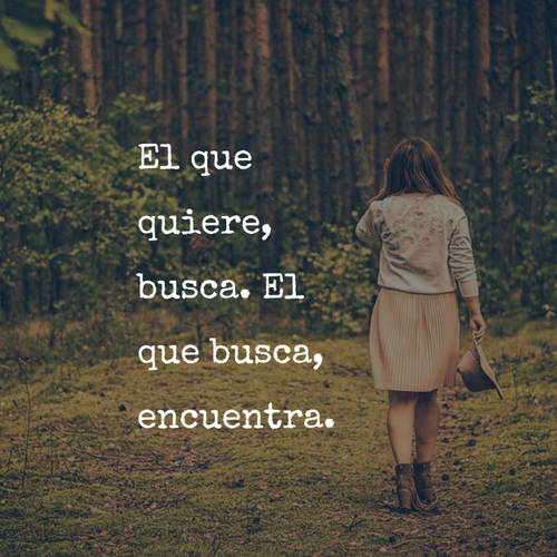 Frases para Reflexionar - El que quiere, busca. El que busca, encuentra.