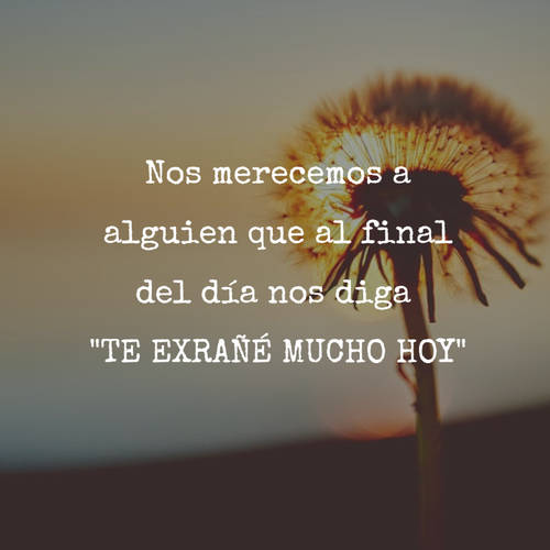 Frases de Amor - Nos merecemos a alguien que al final del día nos diga  "TE EXRAÑÉ MUCHO HOY"