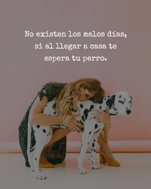 Frases de Amor - No existen los malos días, si al llegar a casa te espera tu perro.