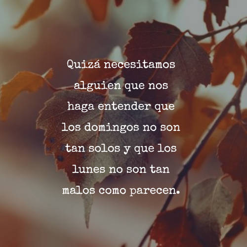 Frases para Reflexionar - Quizá necesitamos alguien que nos haga entender que los domingos no son tan solos y que los lunes no son tan malos como parecen.