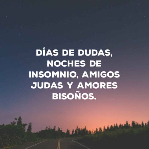 Días de dudas, noches de insomnio, amigos judas y amores bisoños.