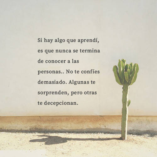 Frases de la Vida - Si hay algo que aprendí, es que nunca se termina de conocer a las personas.. No te confíes demasiado. Algunas te sorprenden, pero otras te decepcionan.