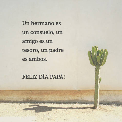 Frases para el Día del Padre - Un hermano es un consuelo, un amigo es un tesoro, un padre es ambos. FELIZ DÍA PAPÁ!