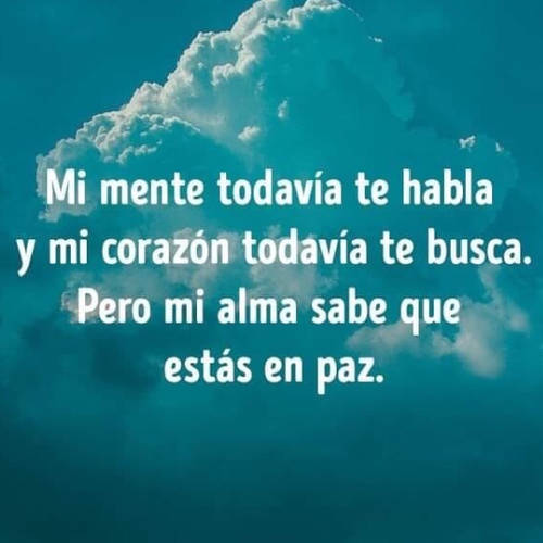 Frases de Tristeza - Mi mente todavía te habla y mi corazón todavía te busca. Pero mi alma sabe que estás en paz.