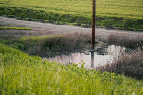 near Davis, California