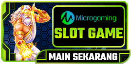 Microgaming