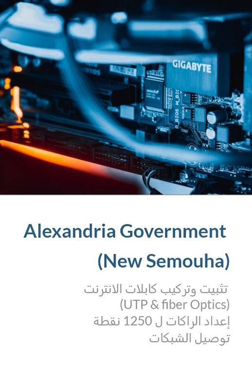 Alexandria Government