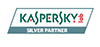 Kaspersky Partner