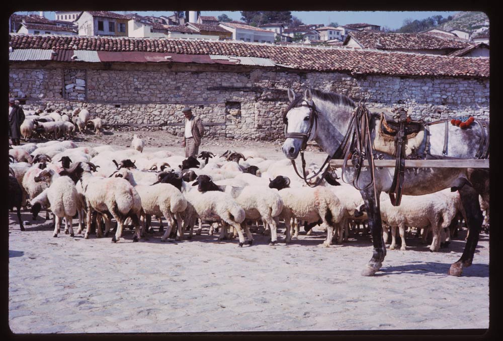 Kusadasi 1965 - Photo 8
