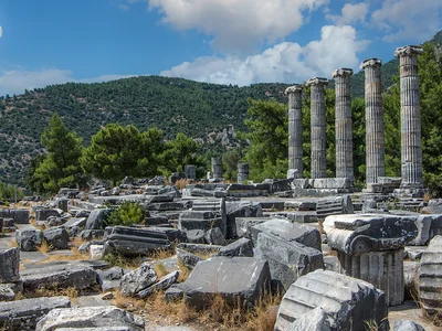 Priene, Miletus, and Didyma