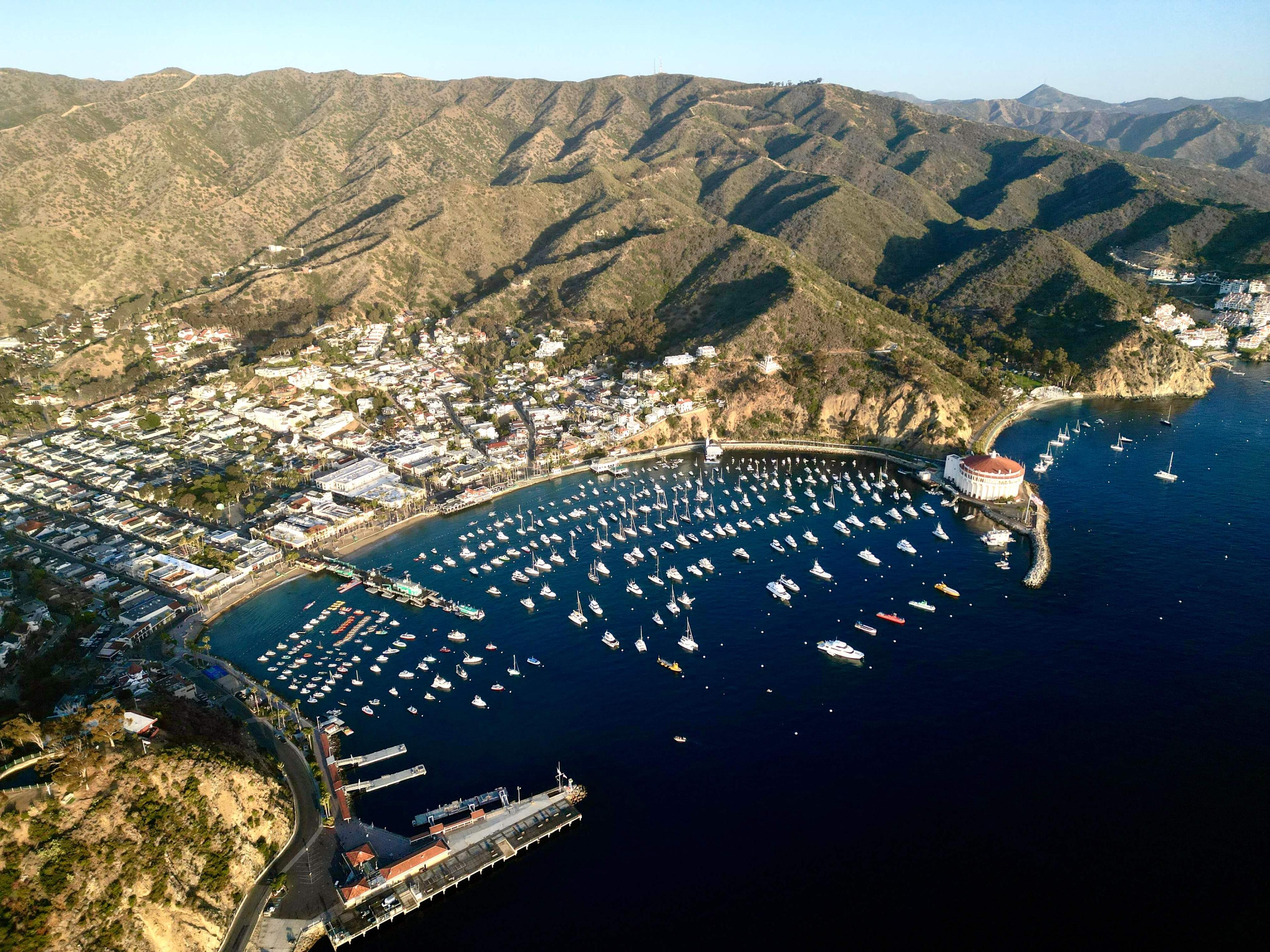 Excess 11 vs 13 vs 14: Which Model Fits Your Cruising Plans Best?