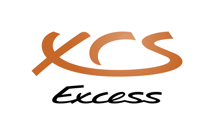 Excess brand logo image