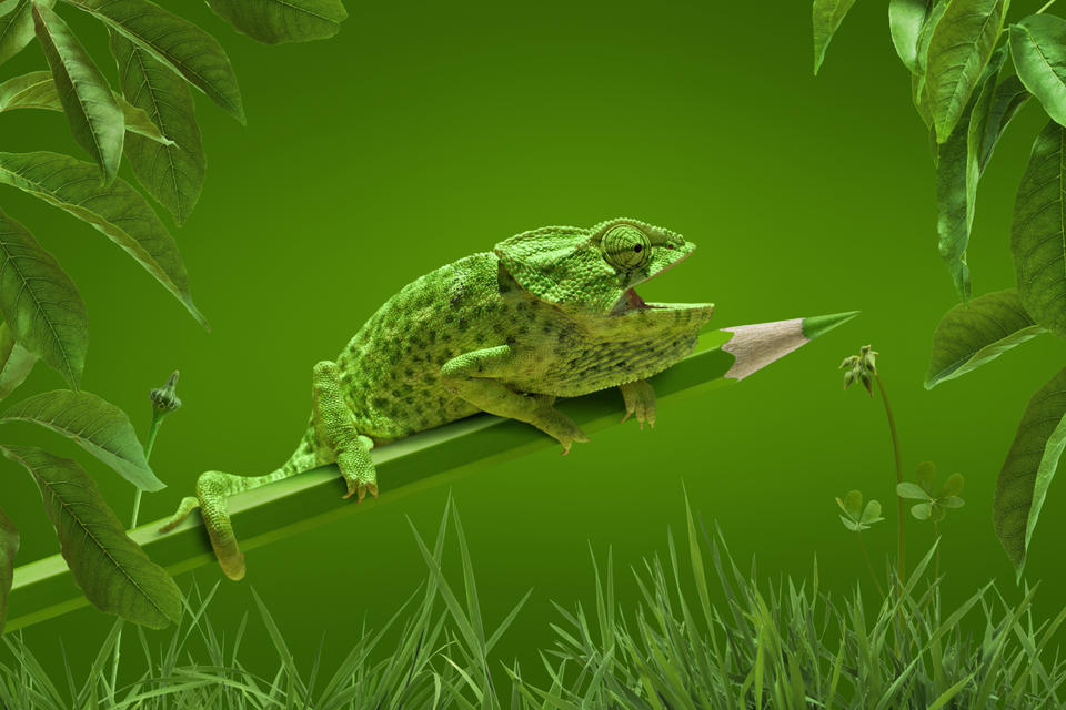 Image by André Boto